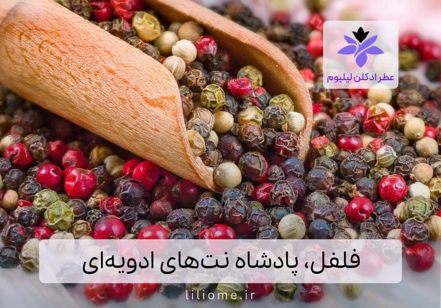 بودیسه