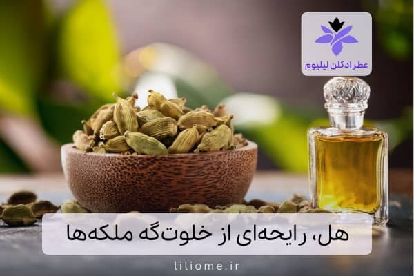 بودیسه