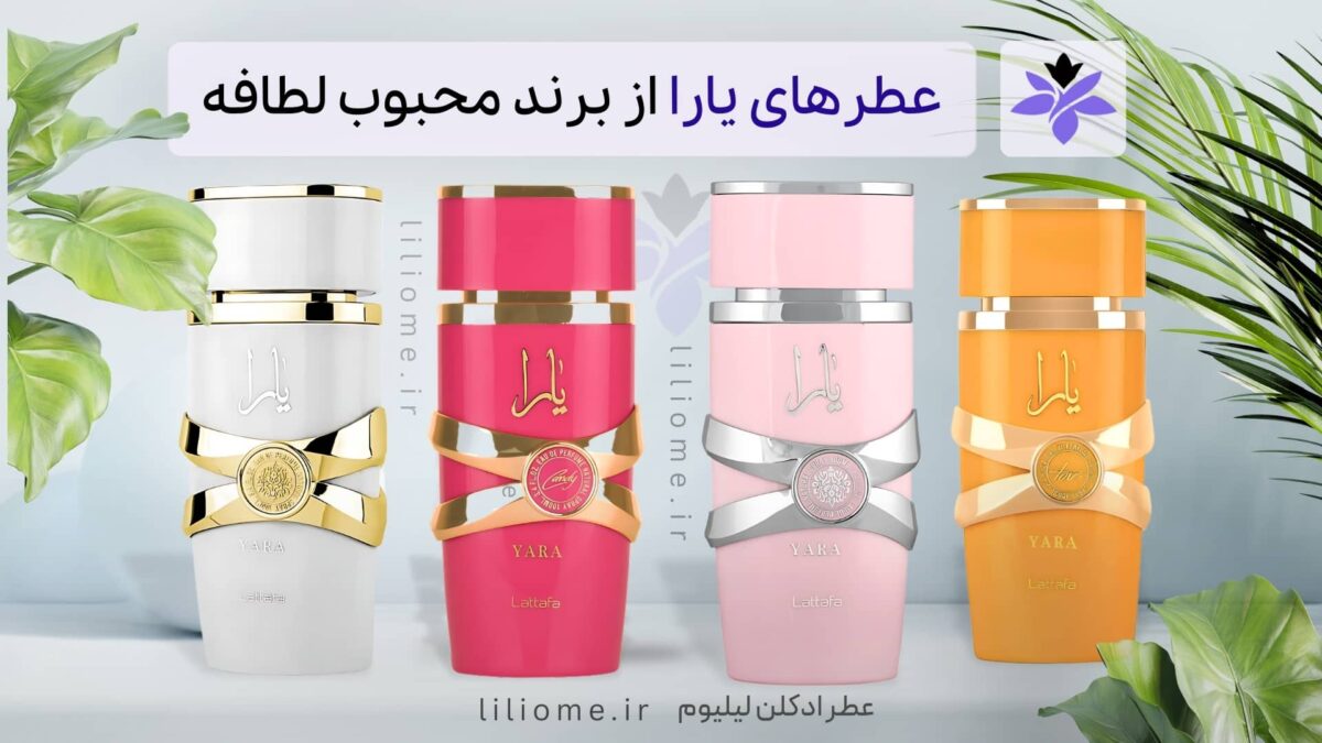بودیسه