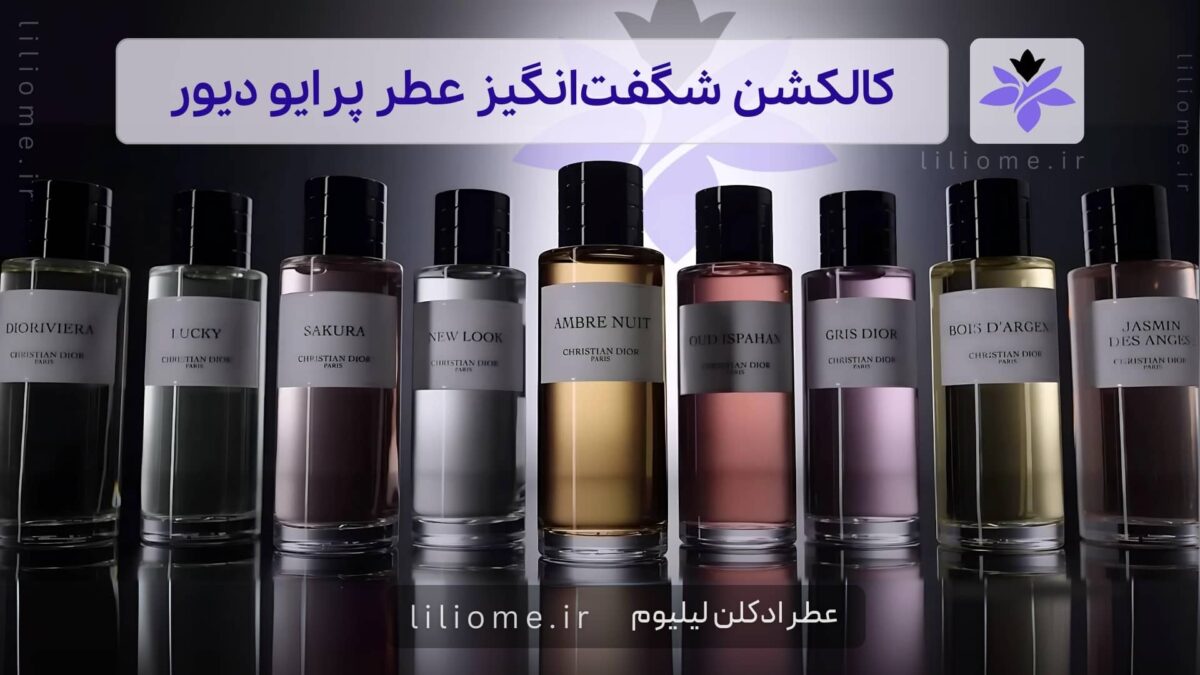 بودیسه