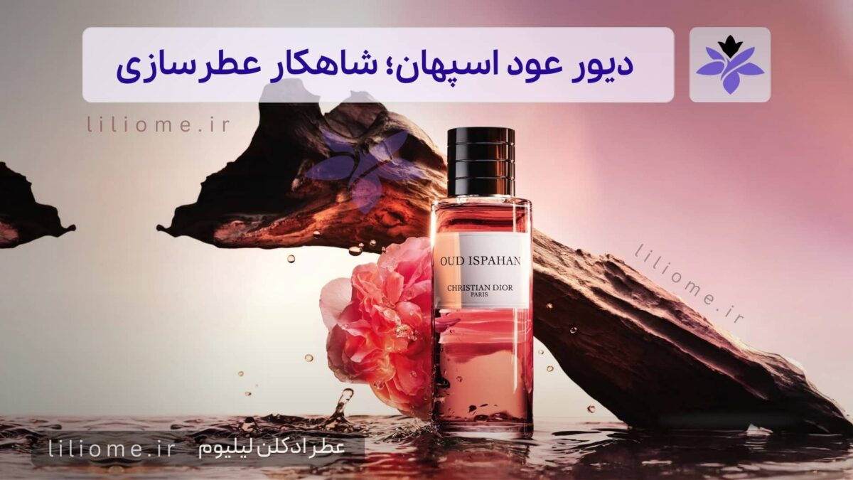 بودیسه